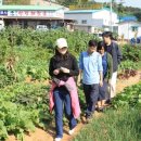 연두농장 이미지