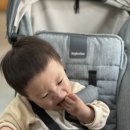 함양가 이미지