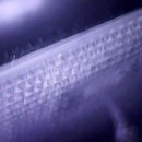 광명크리닝 이미지