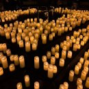 담빛시네콘서트 <지브리 OST 캔들라이트> | 지브리 ost 콘서트 서울 캔들라이트 히사이시조 콘서트 클래식 공연 정보 예매처