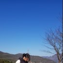 K9워킹독센터 | 경남 애견 방문 훈련 효과 있을까? 보호자 레슨 꼭 필요한 이유! K9 애견훈련소에서 직접 받아본 후기,