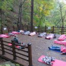 치유의 숲 이미지