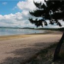 월곡시장 후문 이미지