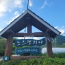 두바퀴펜션 | 평창 수영장 펜션 흥정계곡펜션 노스텔지어펜션 내 돈 내산 후기