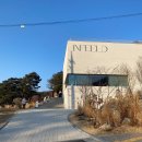 인필드(INFEELD) 이미지