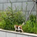 이마트24 서대문연희점 이미지