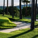 솔모로골프장 이미지