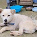 백구공원 이미지