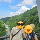 푸름팜 | 여름 일본 홋카이도 여행 홋카이도랩 프리미엄 투어 후라노 비에이 내돈내산 리얼 후기(부모님과 함께)