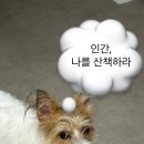 16 이미지