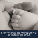 제일양말