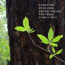 (주)삶의행복