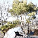 그늘막130 | 원터치텐트 추천 스칸디디자인 피크닉텐트 그늘막텐트 캠핑텐트 후기