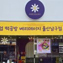 베리데이지울산 이미지