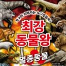 신나는 독서탐험대 이미지