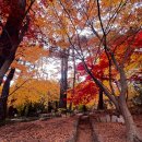 금강공원 이미지