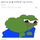 해외 직구 금지의 숨겨진 뜻 이미지