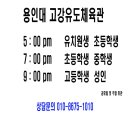 용인대 고강 유도 체육관 이미지