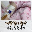 삼일D.P.S | 제왕절개 C-sec & 4박5일 입원 후기