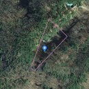 와촌농협하나로마트 이미지