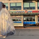 만대항 | 태안 만대항 수산시장 운영수산회센터 꽃게 구입 후기