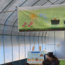 장화운동장 | 볼만한곳] 칠곡 새움길 생태체험학습장 : 가오픈 할인 혜택부터 새우잡기 새우버거 만들기 등 풀코스 후기!