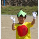 회진초등학교 이미지