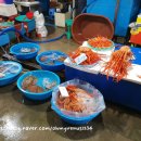 주문진어민수산시장 홍게찜 실패 / 서민갑부 대영유통 위치