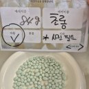 [반려동물 장례식장 몽몽이엠파크] 사랑스러운 강아지, 치와와 초롱이의 마지막 여정