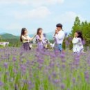 트래블레시피 이미지