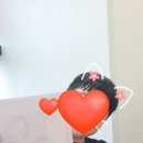 피아노치는고양이학원