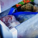 매일 사용하는 냉장고, ‘이곳’에 세균 득실… 놓치기 쉬운 공간 3 이미지