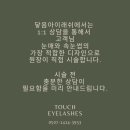 닿음아이래쉬