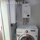 제주게스트하우스봄꽃 이미지