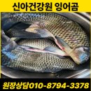 장성건강원 - 서구 양동시장1길 25 | 장성건강원