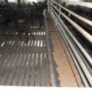 최영균농장 이미지