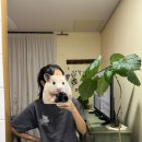 애월화룸 | 제주 서쪽 애월 숙소 1인숙소 추천 '애월화룸'