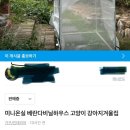 숙희헤어 이미지