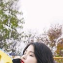 아실라 이미지
