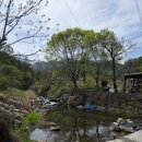 아들바위산장 | 단양 현지인 맛집 계곡 보양식, ‘바위집염소’ 염소 흑마늘 전골로 기력 보충하고 온 후기