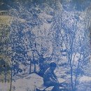 1974년경 나무사이에 앉아 있던 김정호님 모습 이미지