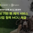 도그토피아 이미지