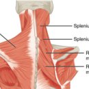 더힘찬한의원 이미지