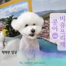 로댕 펫 살롱 이미지