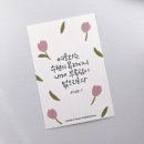 제이조이플 이미지