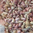 부여농장 이미지