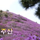 ◈ 아카데미 21기 제10차 정기산행(창원 천주산) 안내 ◈ 이미지