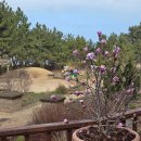 (재)천리포수목원 에코힐링센터 | 천리포 수목원 목련 축제 태안 여행 코스 추천