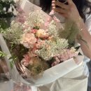 발레드무이 이미지