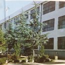 광주충장중학교 | 충장중학교(광주) 9회